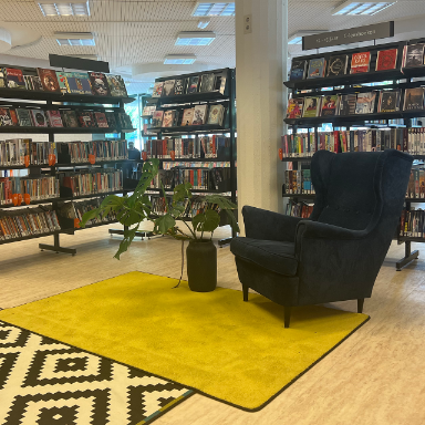 bibliotheek haarlem centrum